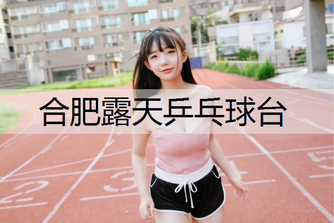 合肥露天乒乓球台