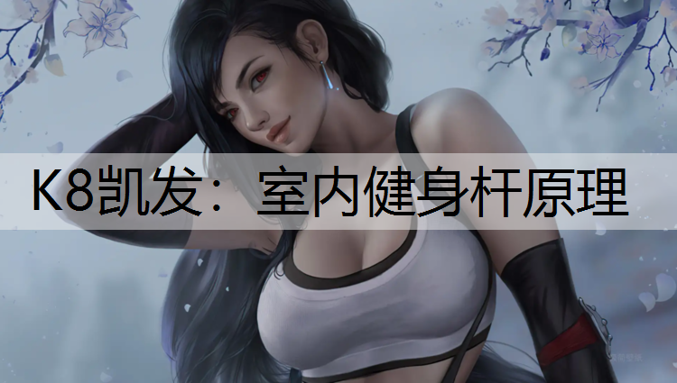 K8凯发：室内健身杆原理
