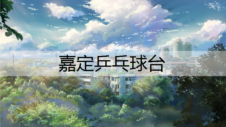 嘉定乒乓球台