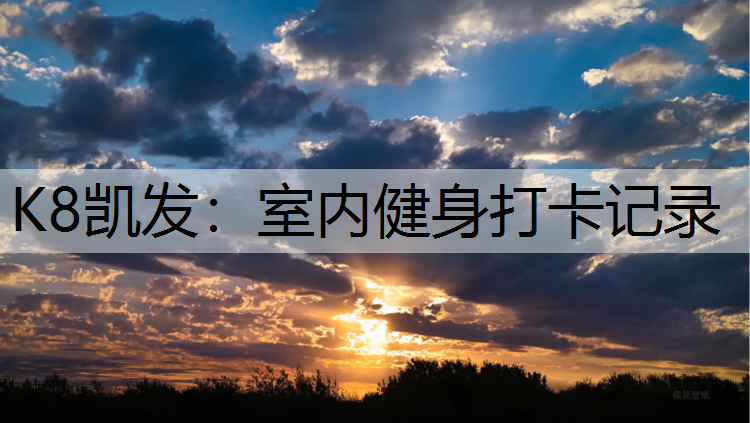 K8凯发：室内健身打卡记录