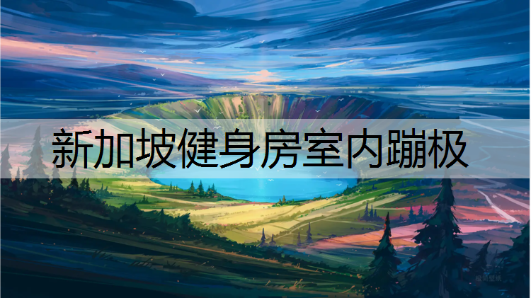 新加坡健身房室内蹦极