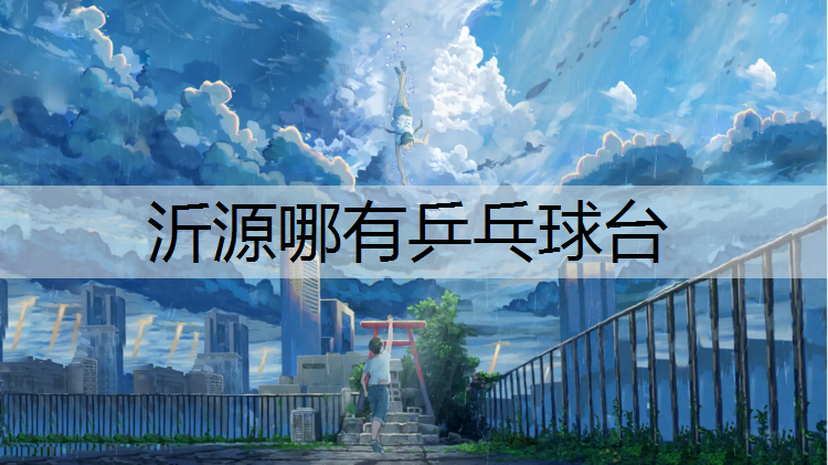 沂源哪有乒乓球台