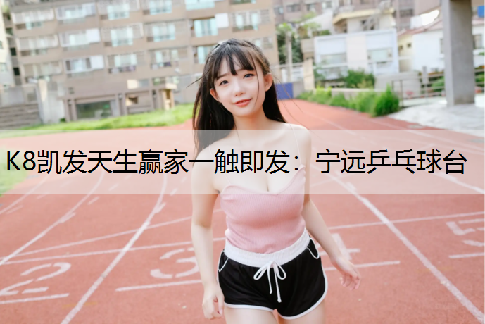 K8凯发天生赢家一触即发：宁远乒乓球台