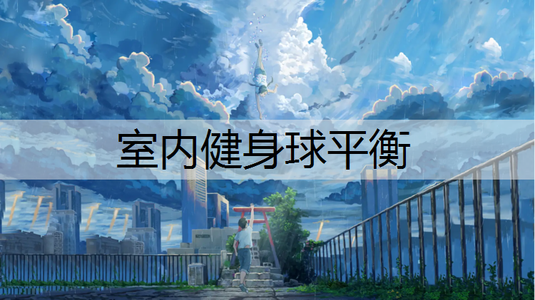 室内健身球平衡