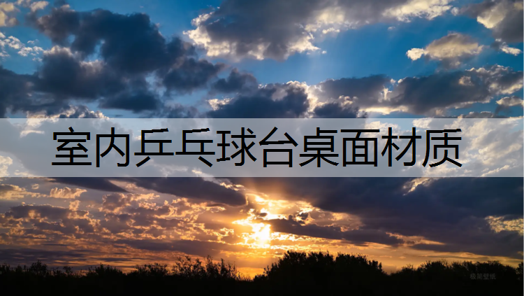室内乒乓球台桌面材质