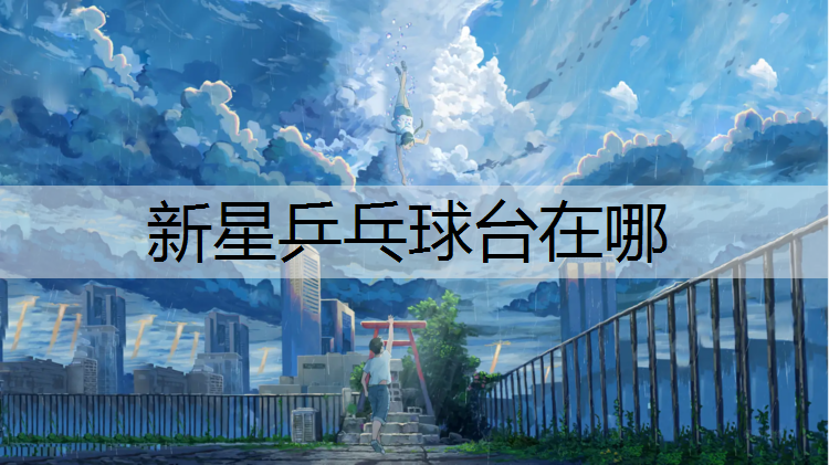 新星乒乓球台在哪
