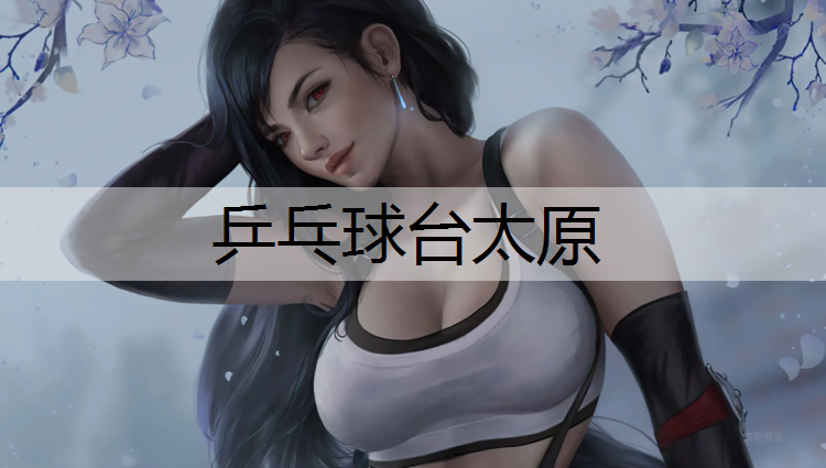 乒乓球台太原
