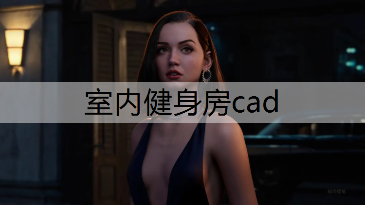 室内健身房cad