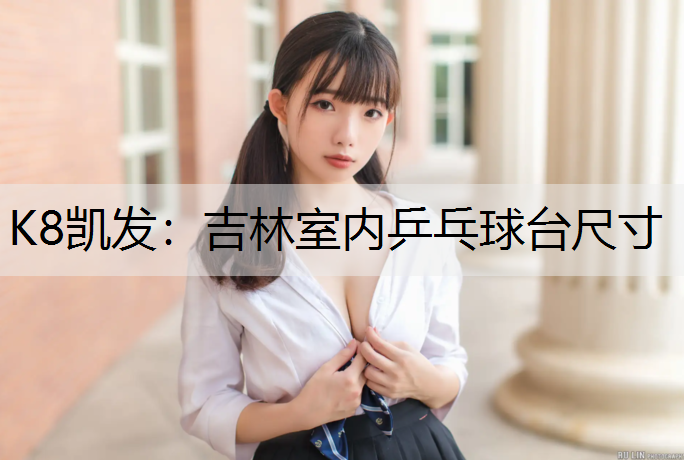 吉林室内乒乓球台尺寸