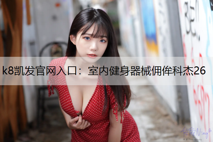 室内健身器械佣侔科杰26