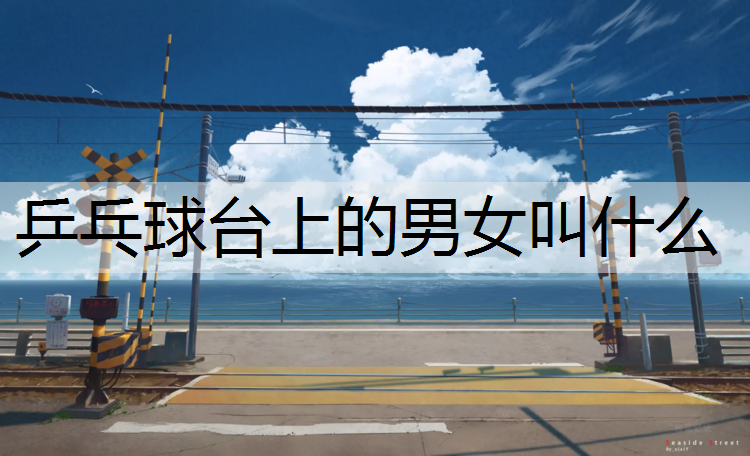 乒乓球台上的男女叫什么