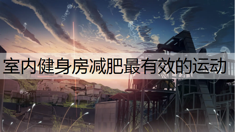 室内健身房减肥最有效的运动
