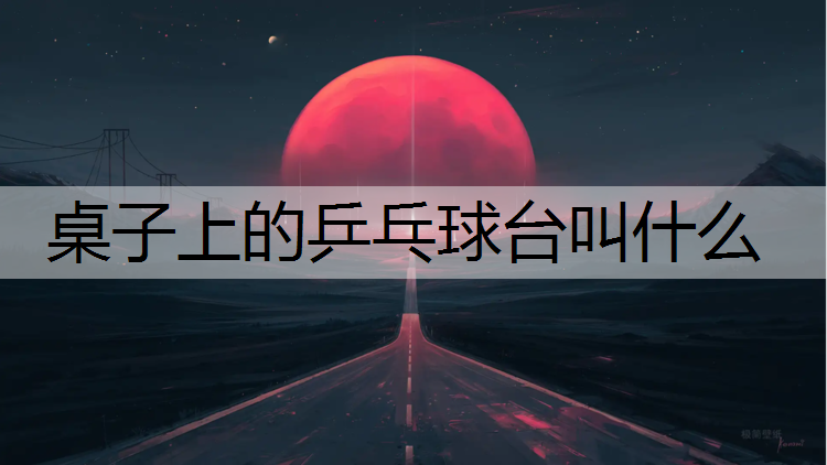 桌子上的乒乓球台叫什么