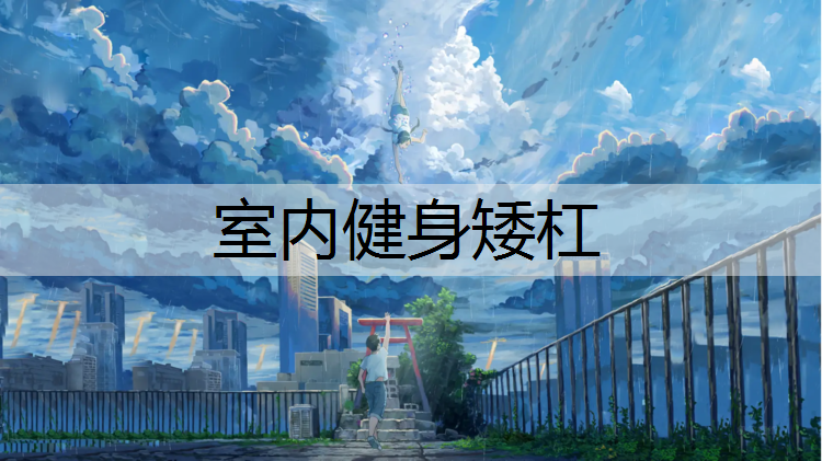 室内健身矮杠