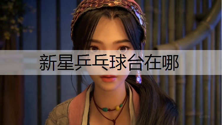新星乒乓球台在哪